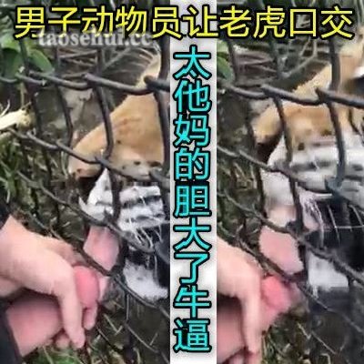 外国狠人让老虎给他口交牛逼